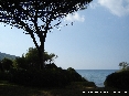 Baratti, Piombino (LI) - La fantastica armonia del mare del cielo e della pineta