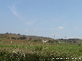 Baratti, Piombino (LI) - Una delle fattorie di Baratti