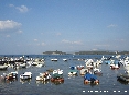 Baratti, Piombino (LI) - La punta opposta del golfo vista dal porto