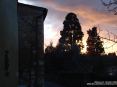 Bibbona (LI) - Il paese  circondato dal verde delle colline e della campagna toscana. Al tramonto l