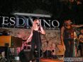 Blues Divino 2009 - Camigliano, Montalcino (SI) - Foto 5 Associazione Culturale Ricreativa Camigliano, foto di Patrizio Martini, 25 luglio e 1 agosto 2009