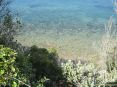 Cala Violina (GR) - Lungo il percorso la vista  mozzafiato. La scogliera si erge a picco sul mare dall