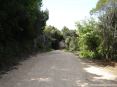 Cala Violina (GR) - Il fondo del sentiero e ben battuto e pulito. Permette perci belle passeggiate a piedi, ma anche in bicicletta moutain bike o a cavallo. Non  un grosso problema per le famiglie anche percorrere il sentiero con passeggini o carrozzine