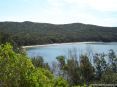 Cala Violina (GR) - Cala Violina presenta una sottile striscia di sabbia molto chiara che fa risaltare le mille tonalit del mare e della vegetazione