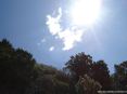 Cala Violina (GR) - Il caldo sole toscano si staglia nel cielo sopra le cime della macchia mediterranea