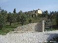 Campiglia (LI) - 