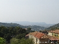Campiglia (LI) - 