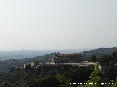 Campiglia (LI) - 