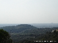 Campiglia (LI) - 