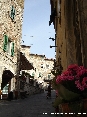 Campiglia (LI) - 