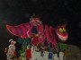 Carnevale di Viareggio 2010 - Il grande stregatto luminoso sul retro del carro Nel paese delle meraviglie di Emilio Cinquini - Fotografia febbraio 2010