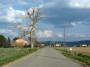 Casalappi, Campiglia Marittima (LI) - La Strada Provinciale 22 verso Casalappi attraversa campi coltivati e mostra lo sfondo delle colline toscane coperte da boschi - Fotografia 17 febbraio 2013