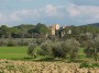 Casalappi, Campiglia Marittima (LI) - La campagna toscana circonda il Castello di Casalappi e gli antichi edifici del suo borgo nascosti da una fitta pineta. Nei dintorni ci sono vigne, campi coltivati e uliveti - Fotografia 17 febbraio 2013