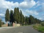 Casalappi, Campiglia Marittima (LI) - Due filari di alti cipressi costeggiano la strada celando alla vista l