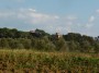 Casalappi, Campiglia Marittima (LI) - Vista fra campi arati, uliveti e una fitta pineta dell