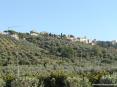 Castagneto Carducci (LI) - Il borgo spunta tra la verde macchia mediterranea tipica della Toscana marittima