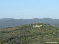 Castagneto Carducci (LI) - Le colline nei dintorni sono coperti da macchia mediterranea, ma anche da campi coltivati, vigne e uliveti.