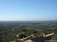 Castagneto Carducci (LI) - Dai tetti delle case al mare passando per le famose vigne e i possedimenti della zona. Qui hanno sede numerose e rinomate aziende vinicole