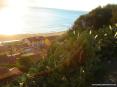 Castiglione della Pescaia (GR) - Sotto la  Fortezza la collina scende ripidamente verso il paese moderno e il mare tra arbusti e fichi d
