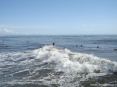 Forte dei Marmi (LU) - Alcuni surfisti fotografati dal pontile del Forte verso sud. I ragazzi stanno aspettando l