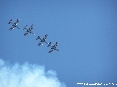 Frecce Tricolori a Piombino 10 agosto 2006 - Pattuglia Acrobatica Nazionale Italiana - Aeronautica Italiana