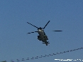 Frecce Tricolori a Piombino 10 agosto 2006 - Pattuglia Acrobatica Nazionale Italiana - Aeronautica Italiana