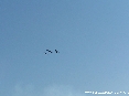 Frecce Tricolori a Piombino 10 agosto 2006 - Pattuglia Acrobatica Nazionale Italiana - Aeronautica Italiana