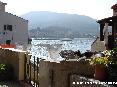 Gatti toscani - Gatto disteso al sole con lo sfondo del porticciolo nel quartiere Cotone di Marciana Marina, Isola d