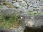 Gatti toscani - Un gattino fa capolino da una roccia - Fotografia Marciana Isola d