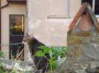 Gatti toscani - Un gatto accanto ad un comignolo nel paese di Scarlino - Fotografia gatto micio Toscana