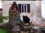Gatti toscani - Un gatto nero vicino ad un comignolo su un tetto del paese di Scarlino - Fotografia gatto micio Toscana