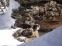 Gatti toscani - Un gatto fra la neve in vetta al monte Amiata - Fotografia gatto micio Toscana