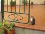 Gatti toscani - Un gattino fa la guardia sul cancello di una casa - Fotografia gatto micio Toscana