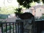 Gatti toscani - Un micio con lo sfondo del paese di Marciana Isola d