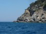 Gita in barca a Baratti, Piombino (LI) - Esemplari di Chamaerops humilis L. o Palma Nana sono nascosti fra la macchia mediterranea che sovrasta gli scogli della zona di Buca delle Fate - Fotografia 8 luglio 2012, Toscana