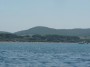 Gita in barca a Baratti, Piombino (LI) - La spendida spiaggia di sabbia di Baratti con lo sfondo dei maestosi pini marittimi della pineta. La sabbia luccica al sole a causa dei frammenti di minerale di ferro che gli Etruschi lavoravano in queste zone e che tutt