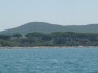 Gita in barca a Baratti, Piombino (LI) - Possenti pini marittimi creano una fitta pineta che svetta sulla spiaggia - Fotografia 8 luglio 2012, Toscana