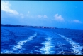 Isola di Pianosa (LI) - Allontanandosi dall