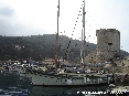 Marciana Marina (LI) - Anche nelle mezze stagioni diverse molte imbarcazioni scelgono il porto del paese