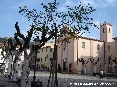 Marciana Marina (LI) - 