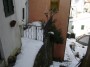 Neve a Marciana, Isola d