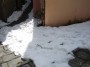 Neve a Marciana, Isola d