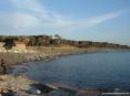 Marina di Cecina (Cecina Mare) (LI) - All