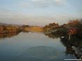 Marina di Cecina (Cecina Mare) (LI) - Sulla riva del fiume Cecina tra gli arbusti paduli sorgono diverse costruzioni con reti da  pesca