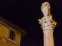 Montepulciano (SI) - Il marmo col quale  realizzato il leone della Colonna del Marzocco si staglia contro il cielo nero della notte - Fotografia Toscana marzo 2015