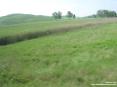 Monterchi (AR) - La strada che porta al paese  immersa nel verde della campagna.