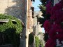 Monteriggioni (SI) - Scorcio di un vicolo del castello con vista sulle alte torri difensive della cerchia di mura fra fiori, colori e sapori toscani - Fotografia 20 agosto 2011, Toscana