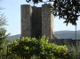 Monteriggioni (SI) - Particolare di una antica torre delle mura difensive con lo sfondo delle colline toscane. In primo piano una profumata siepe di rose e una pergola di vite - Fotografia 20 agosto 2011, Toscana