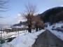 Montieri (GR) - Ingresso al paese dalla Strada Provinciale del Pavone. I tetti e i prati sono bianchi di neve - Fotografia Marzo 2010