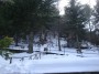 Montieri (GR) - Gli alberi e la neve fanno da scenario alla salita che porta lla chiesa di San Giacomo Apostolo - Fotografia Marzo 2010